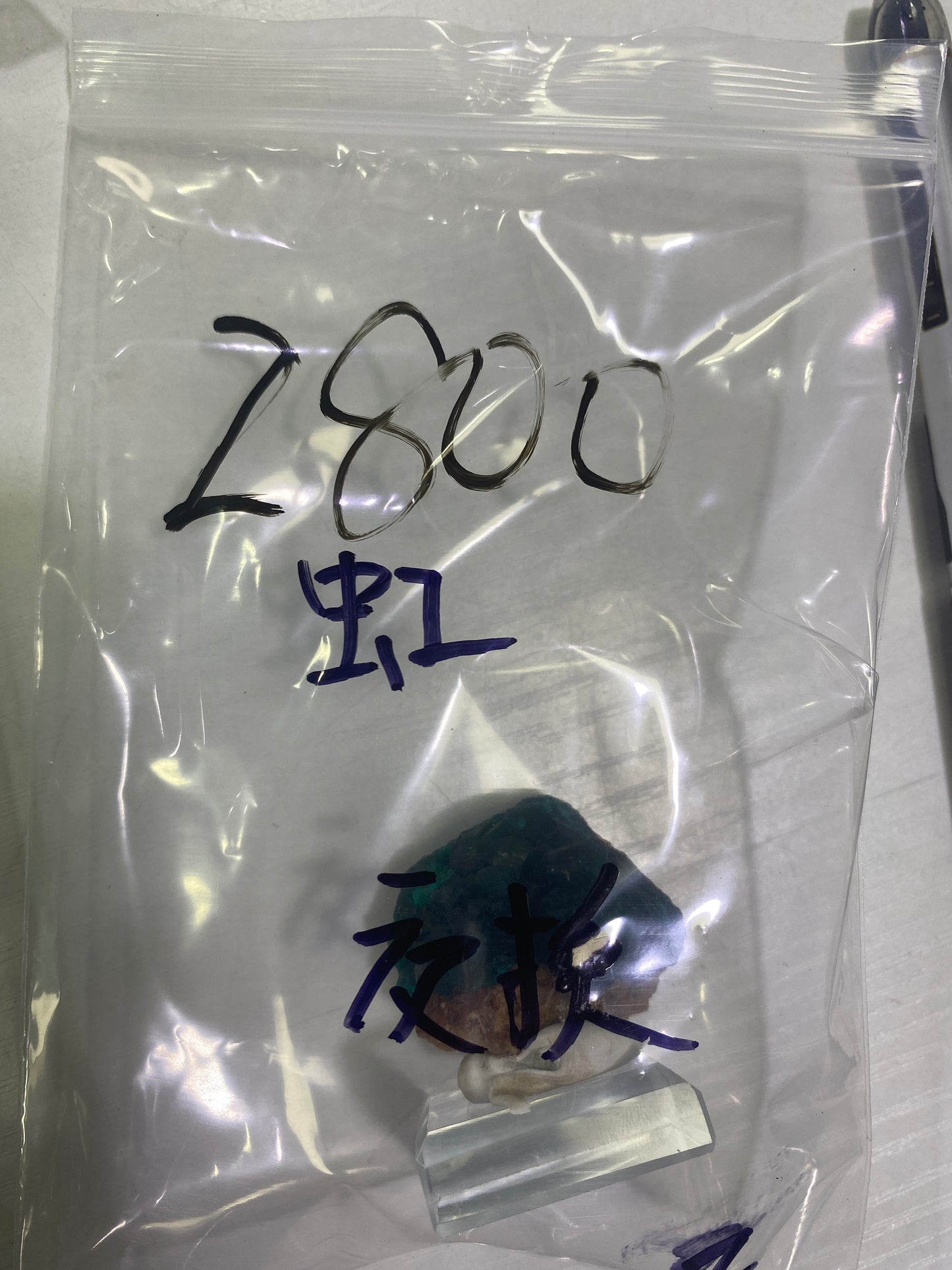 102-虹様