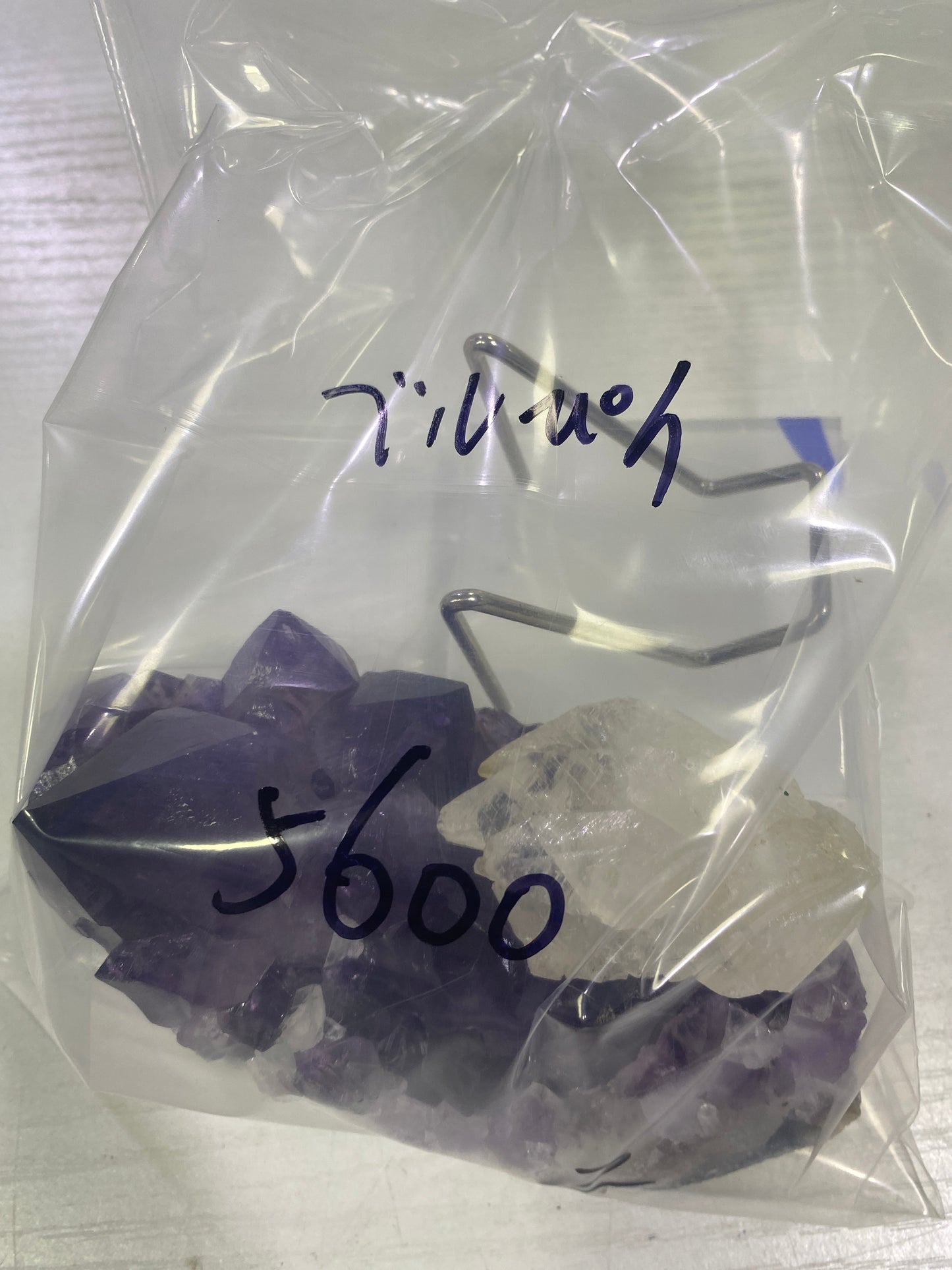 83-ベルぴん様