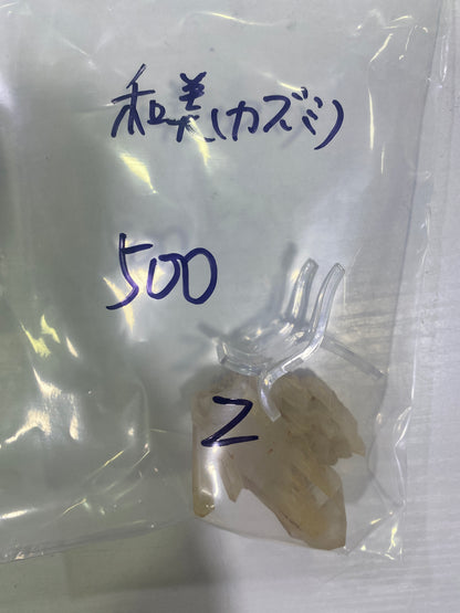 84-和美様9月19日まで