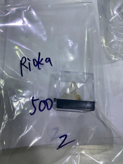 14-Rioka様