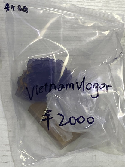 33-vietnamvloger様9月23日