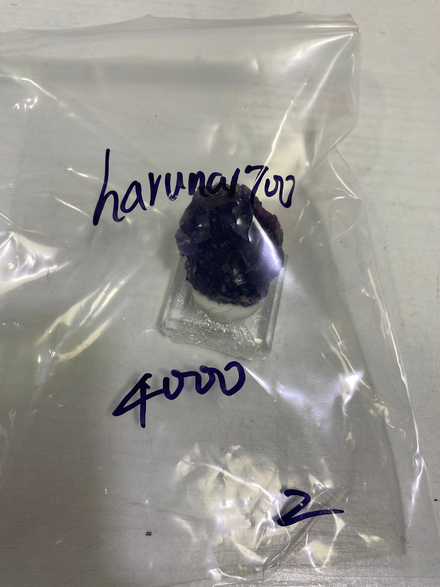33-haruna1700様