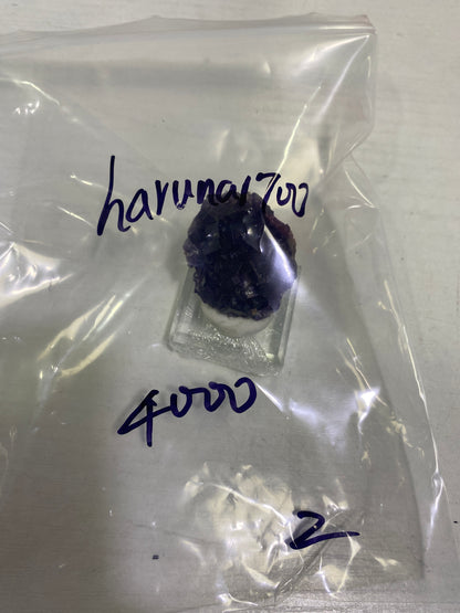 33-haruna1700様