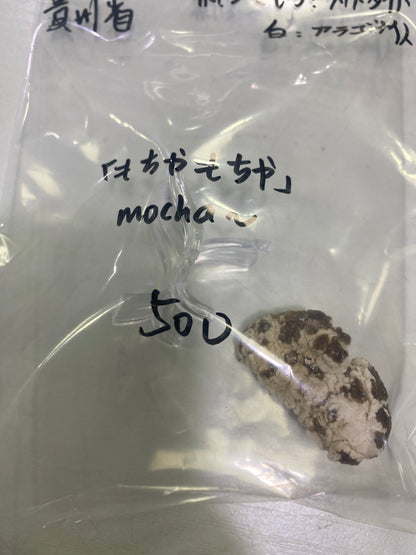 31-もちゃもちゃ様