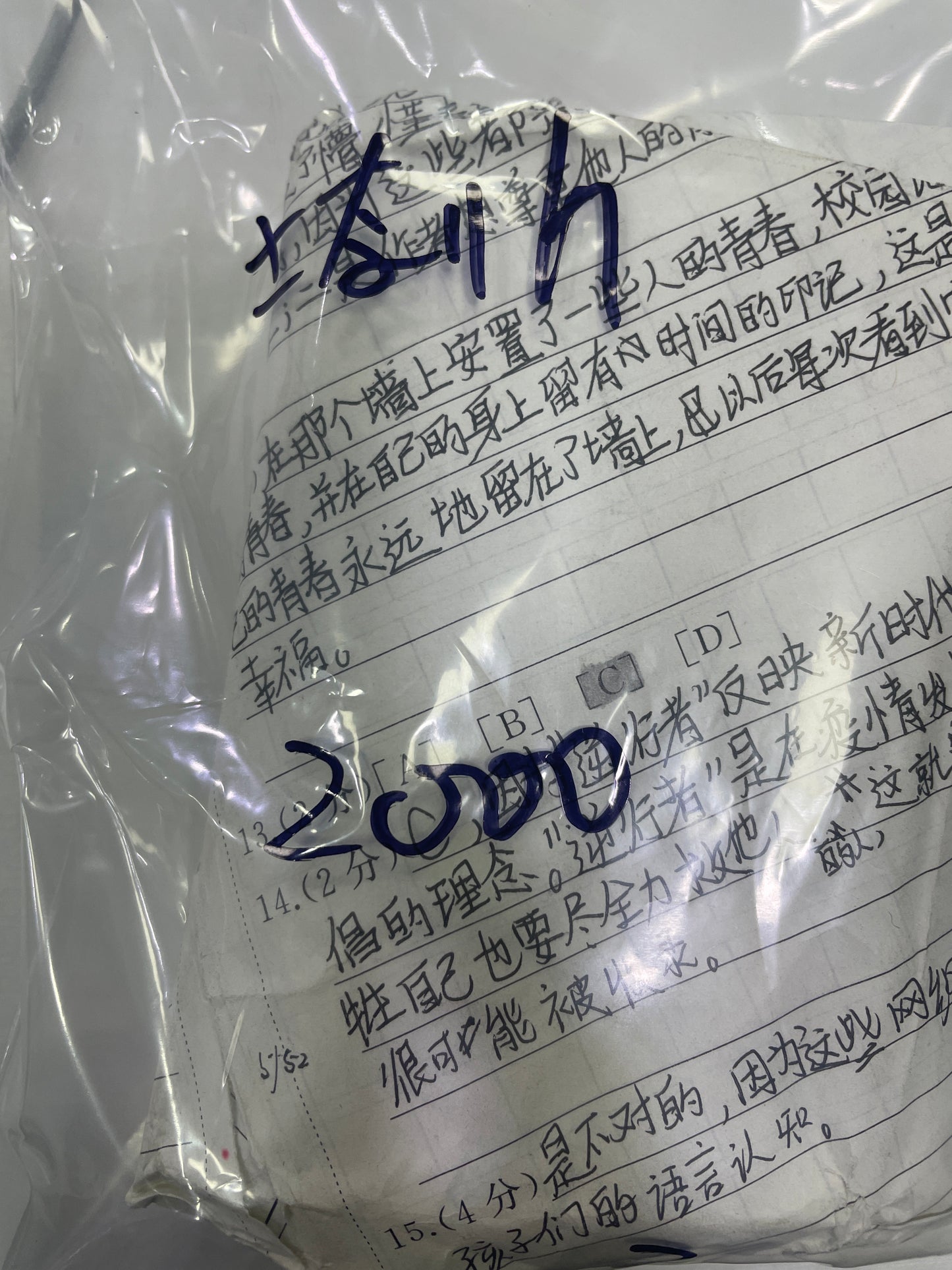 51-さなりん様可能paypay