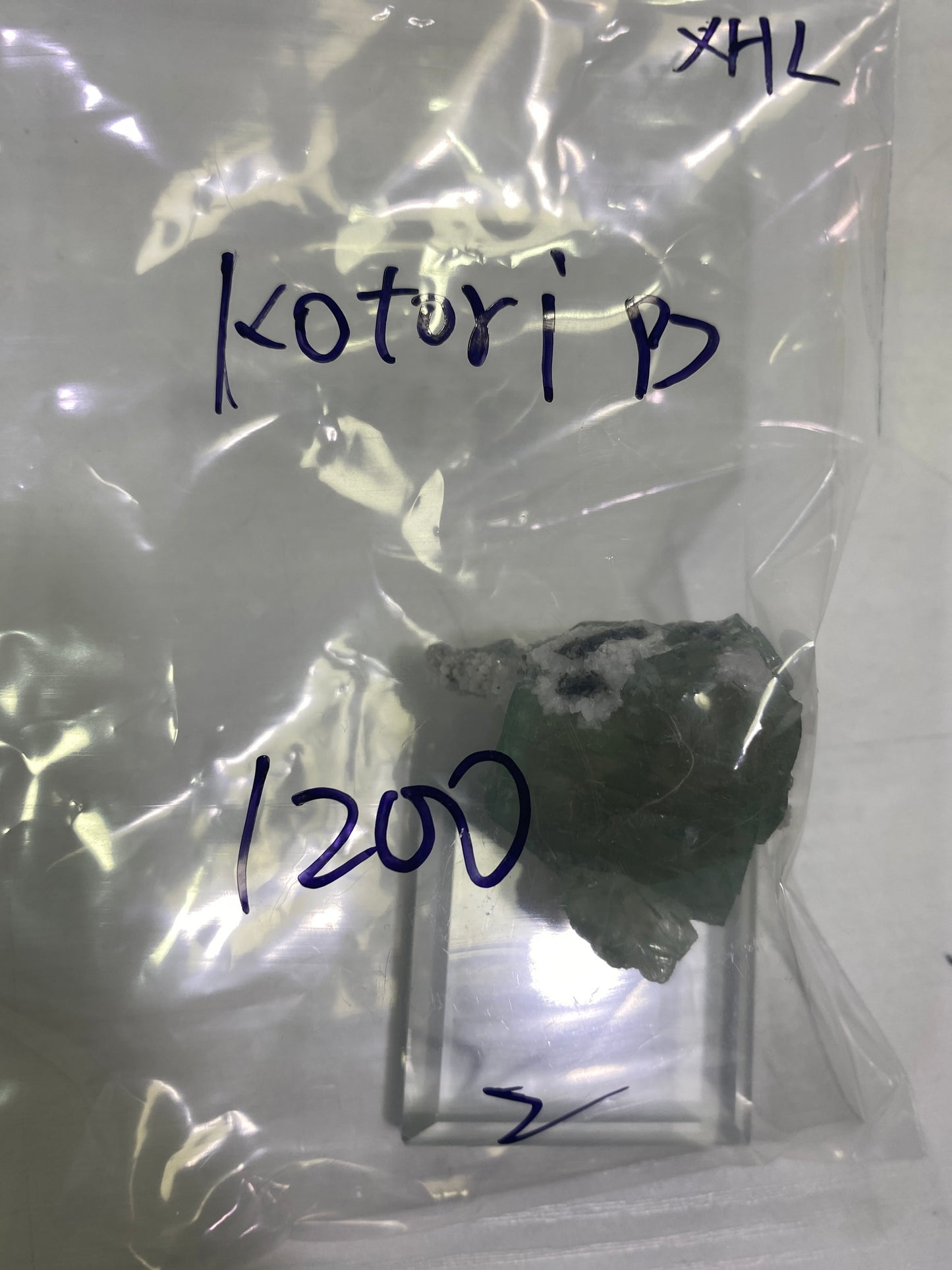 26-kotori様