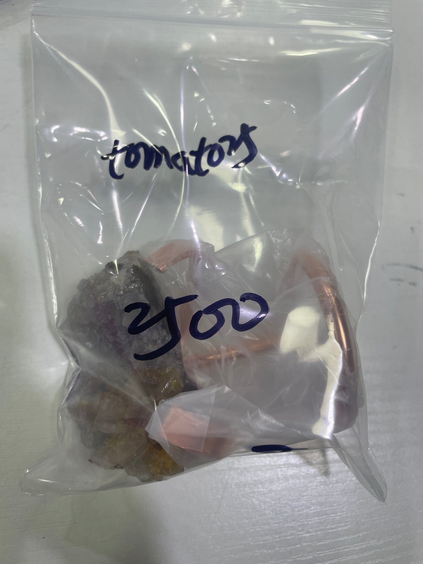 19-tomato25様