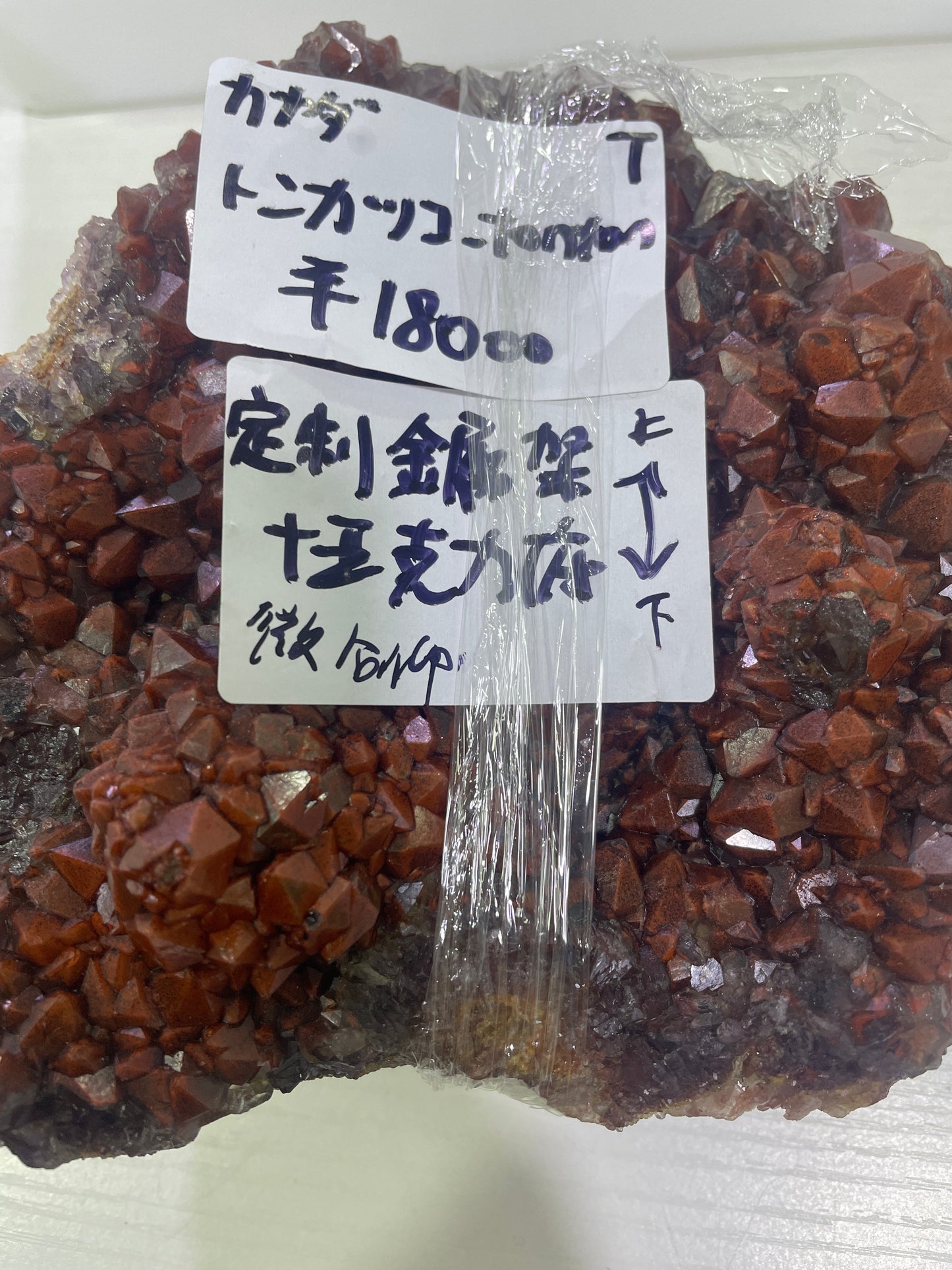 93-トンカッコ様