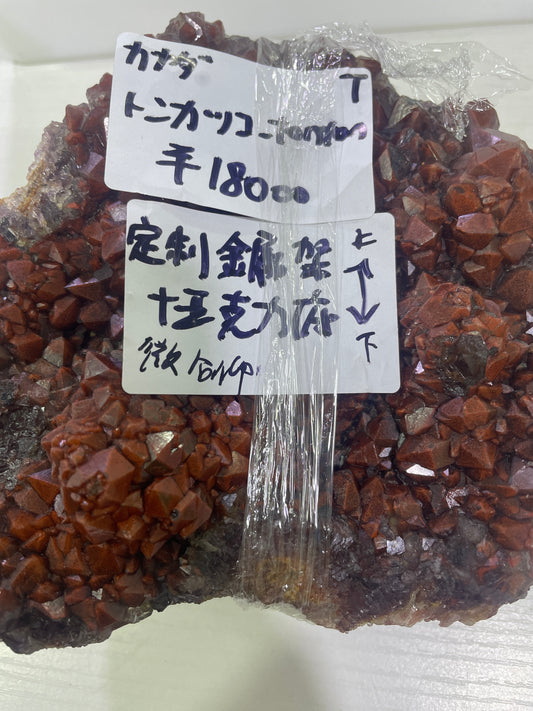 93-トンカッコ様