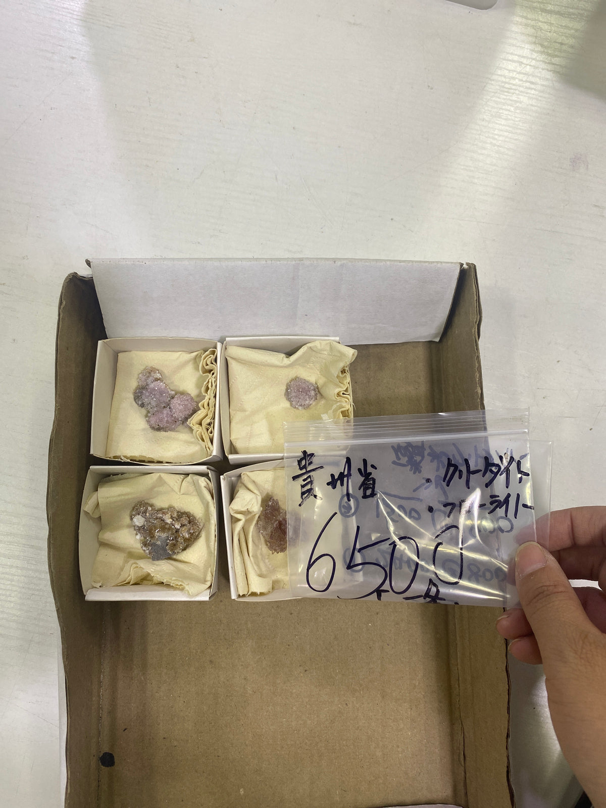 53-一条様9月22日まで