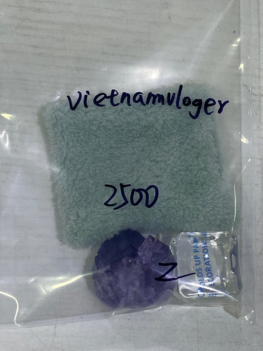 23-vietna様11月1日まで