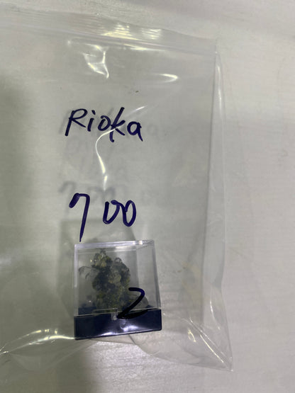 14-Rioka様