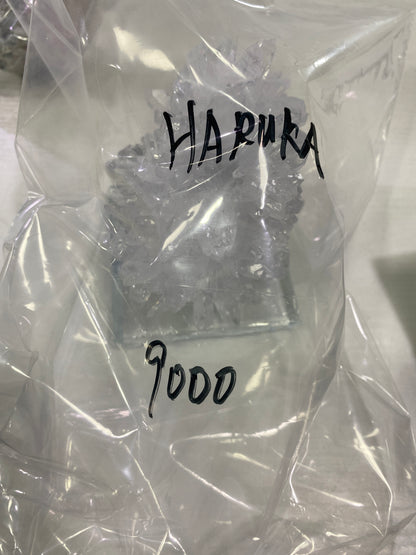 40-HARUKA様