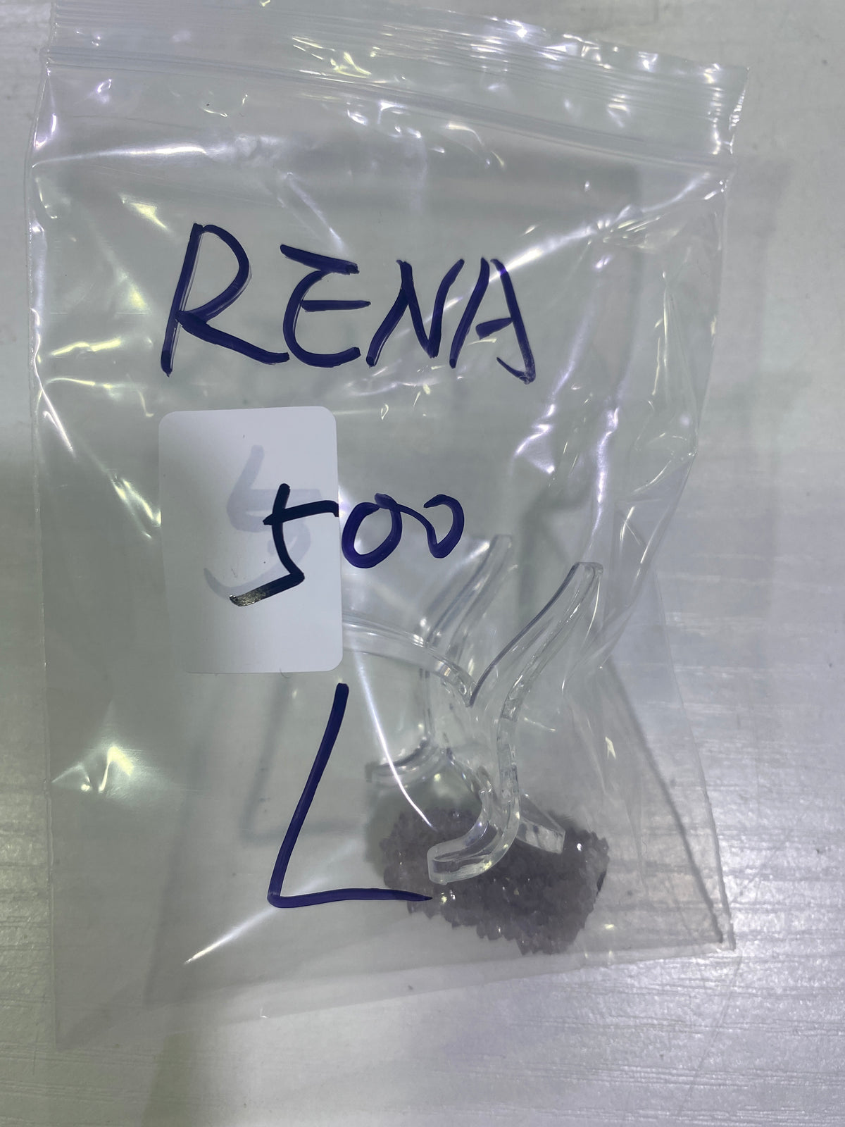 16-RENA様9月16日まで