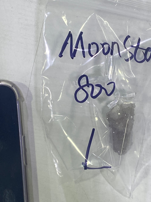 61-moon star様9月16日まで