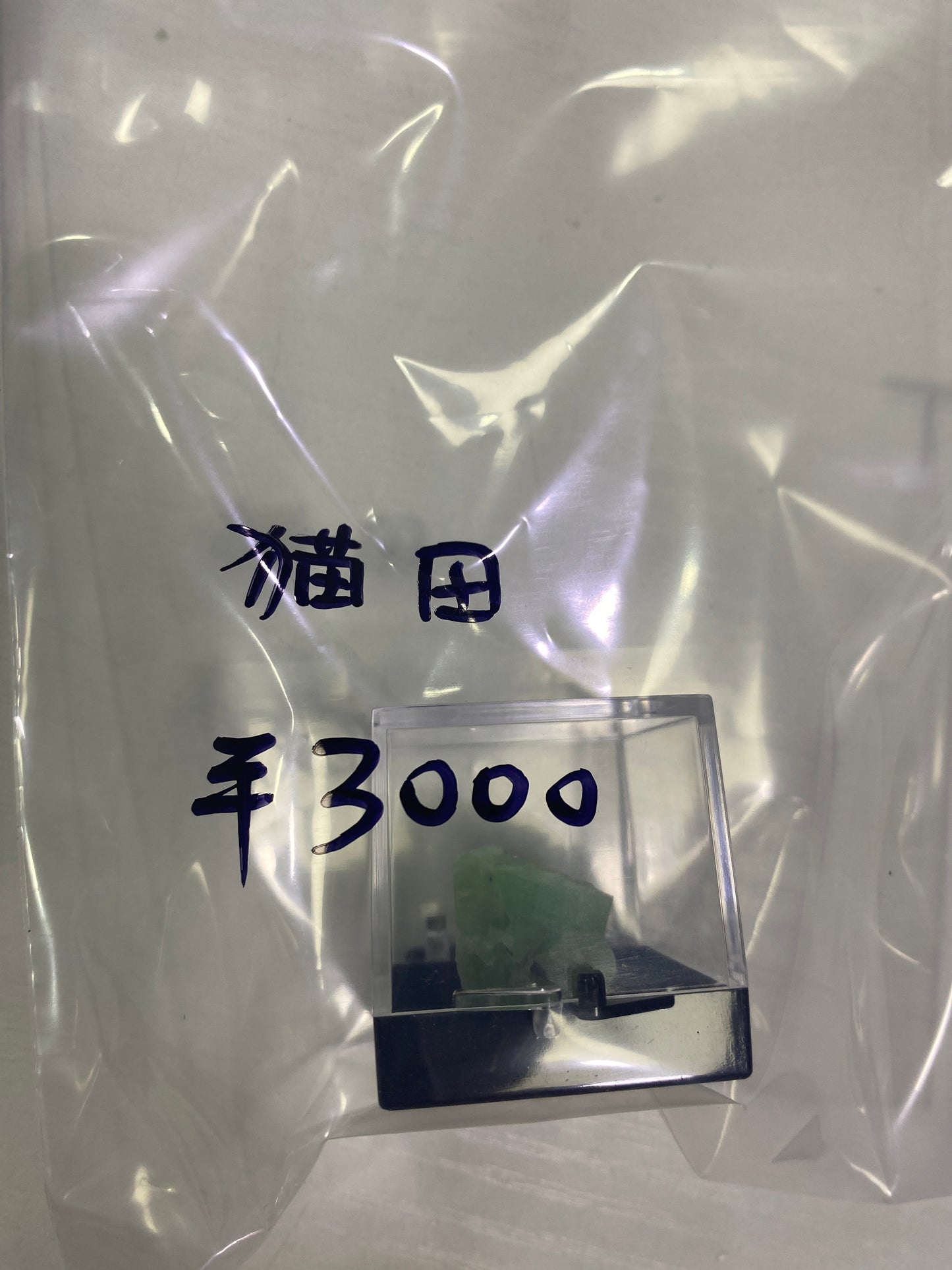 30ー猫田様