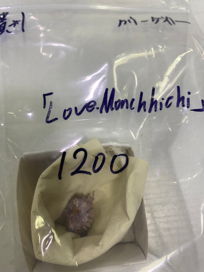 58-love.monchhichi様9月29日まで