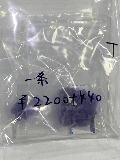 82-一条様8月23日まで