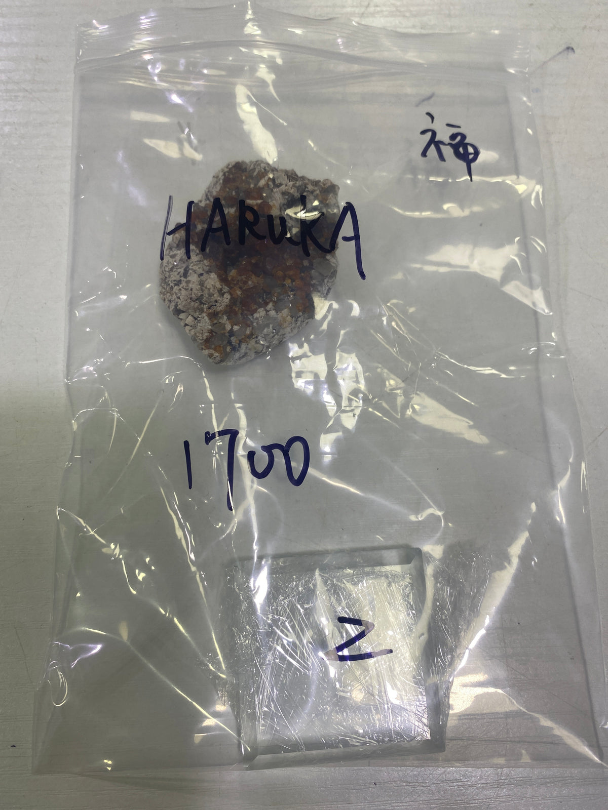 74-HARUKA様9月23日まで