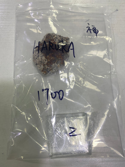 74-HARUKA様9月23日まで