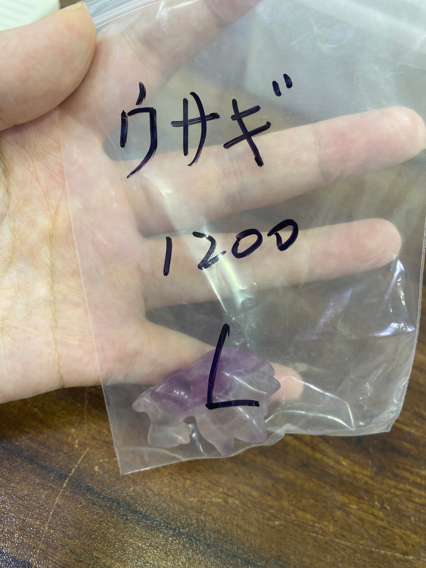 27-ウサギ様