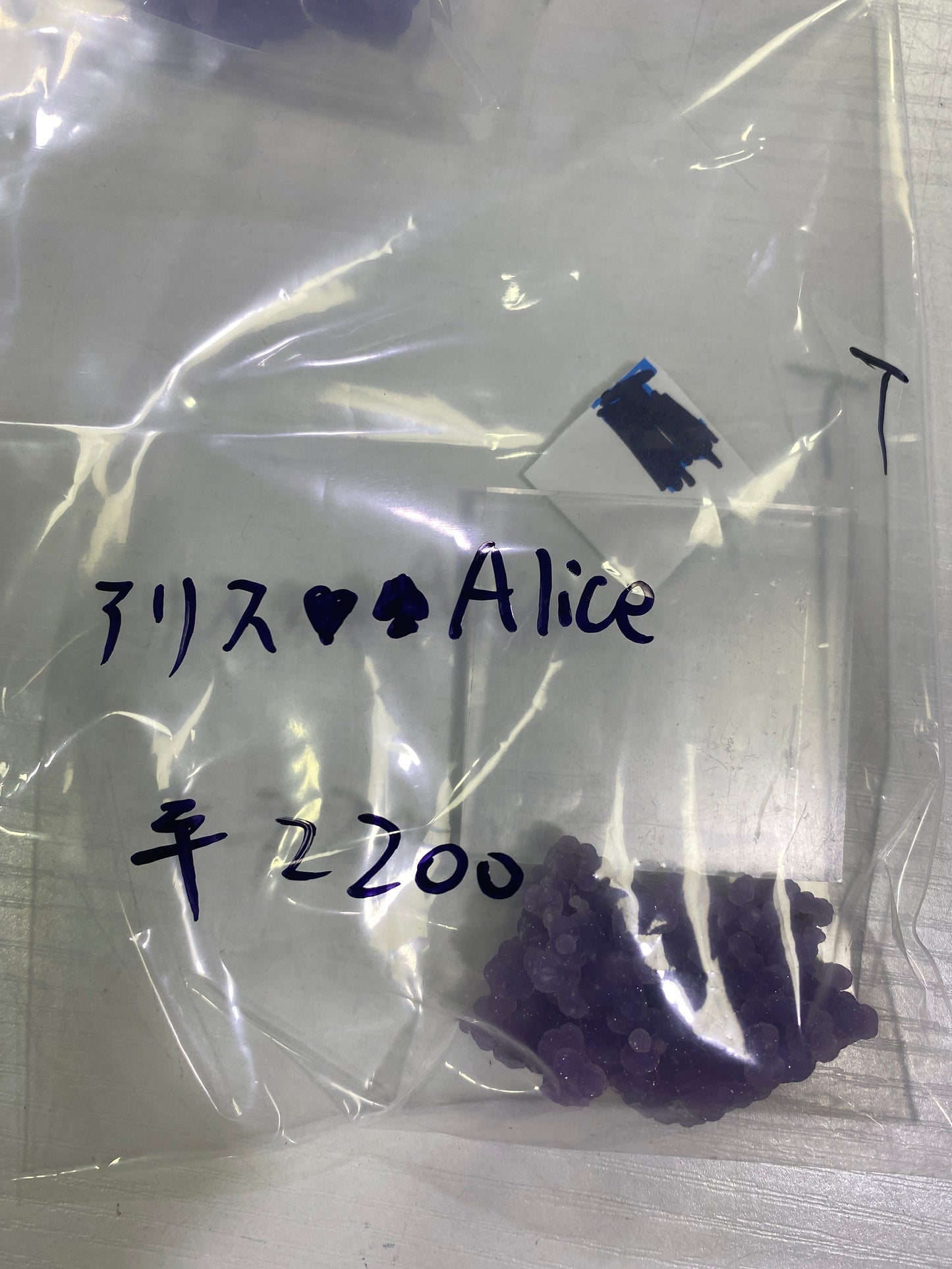 49-アリス様8月23日まで