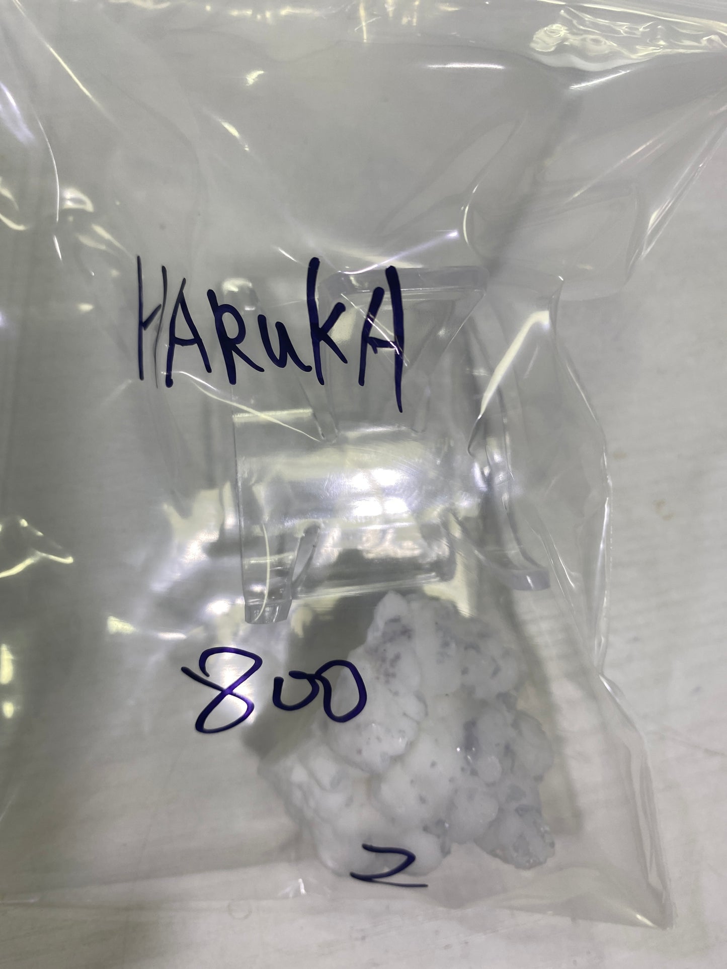 15-HARUKA様8月24日まで