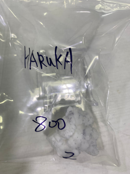 15-HARUKA様8月24日まで