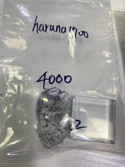 20-haruna1700様