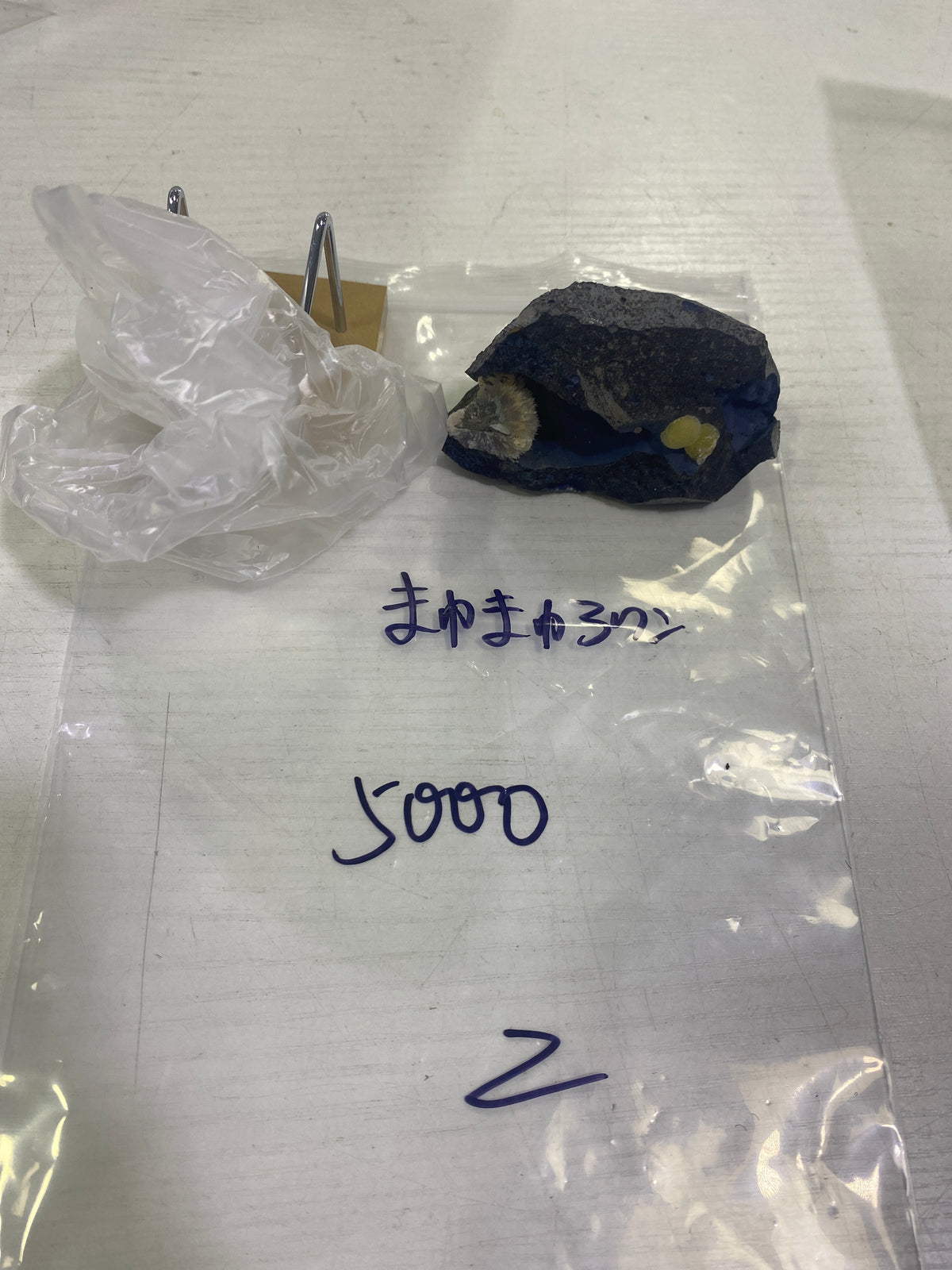 72-まゆまゆ3ワン様9月23日まで
