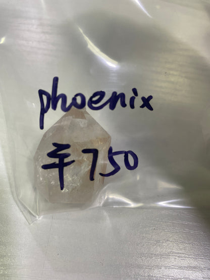 56-phoenix様