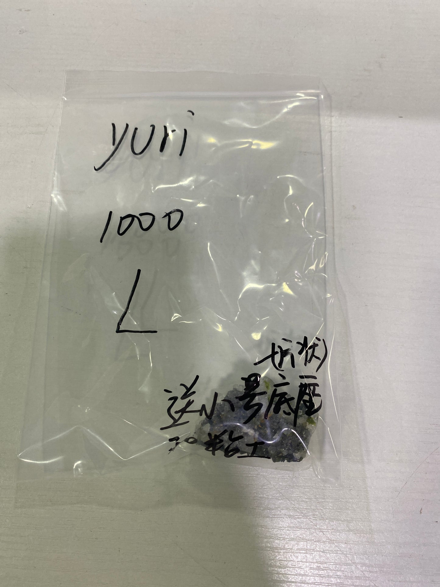 13-yuri様