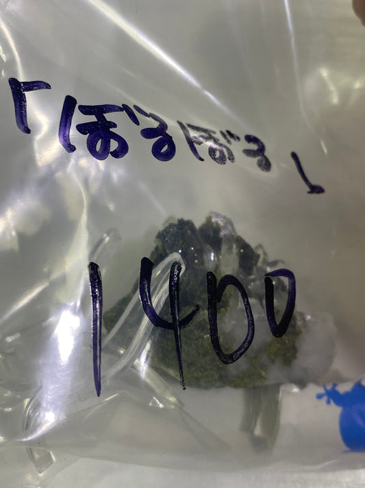 37-ぼるぼる様