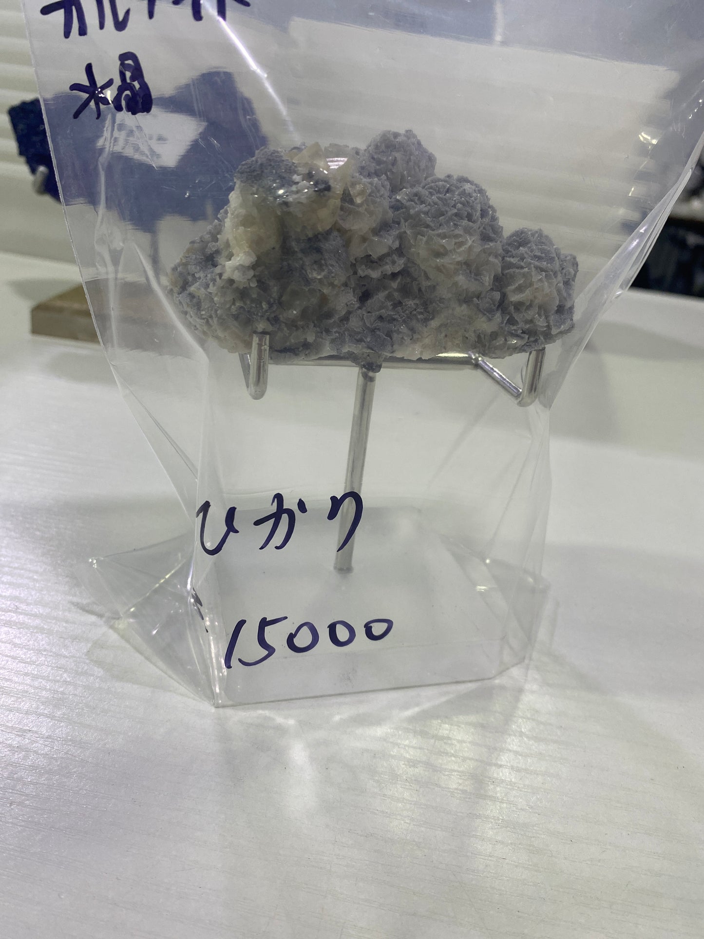 37-ひかり様