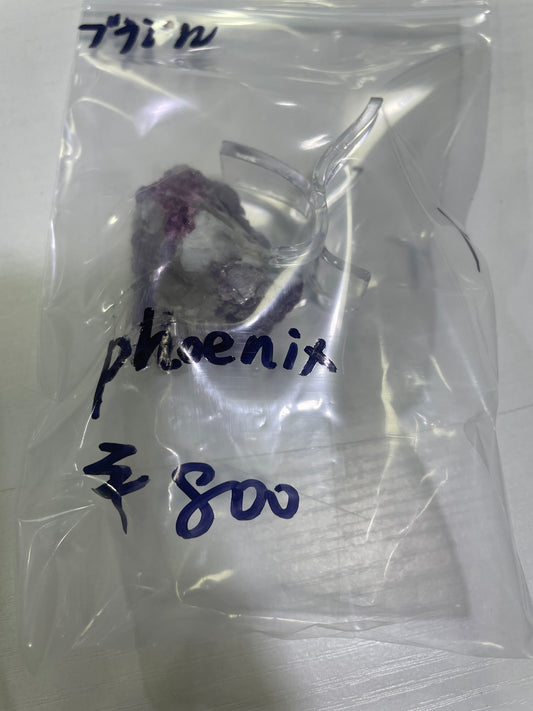 84-phoenix様