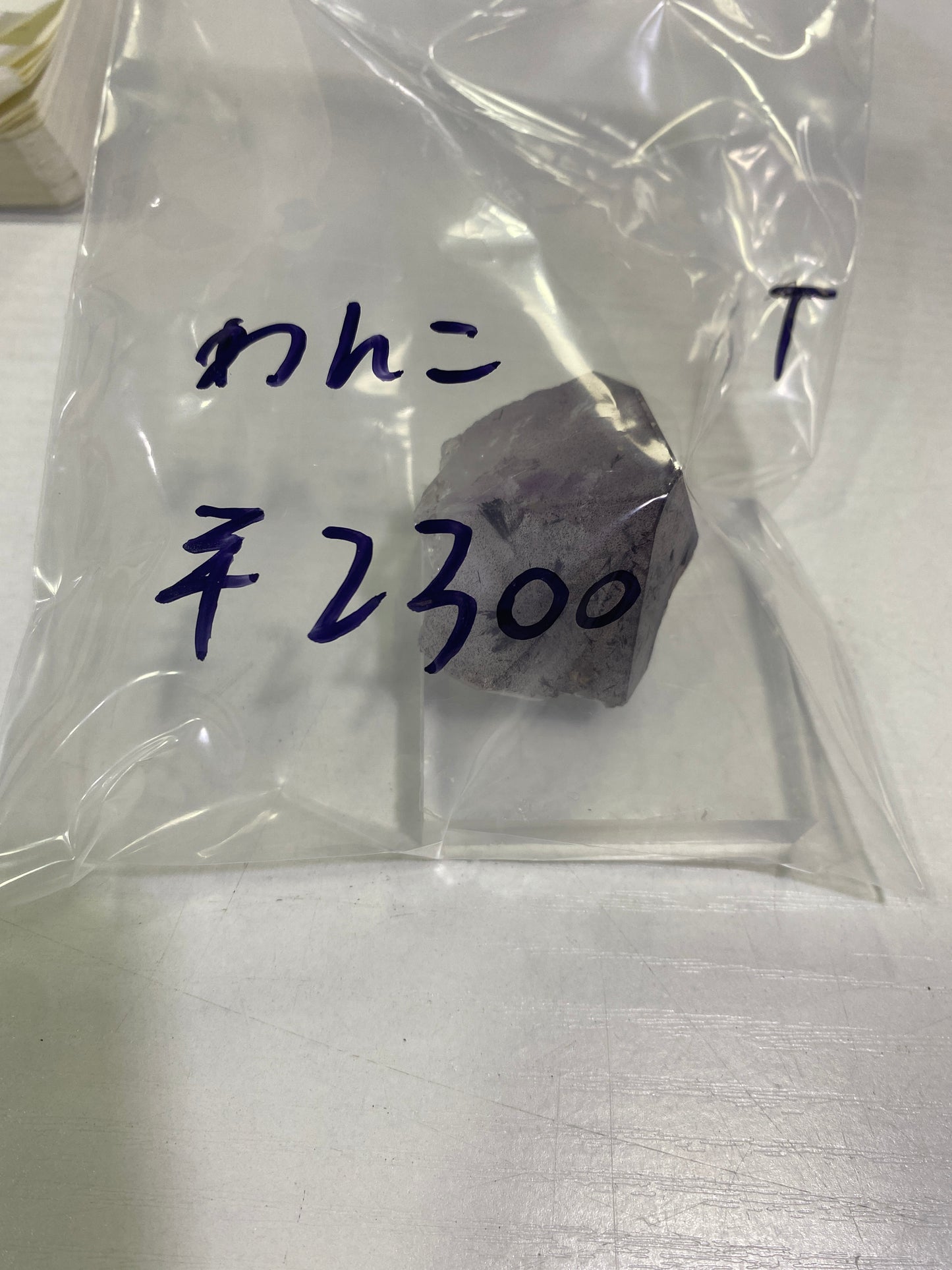 20ーわんこ様