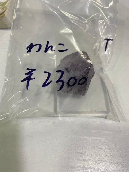 20ーわんこ様