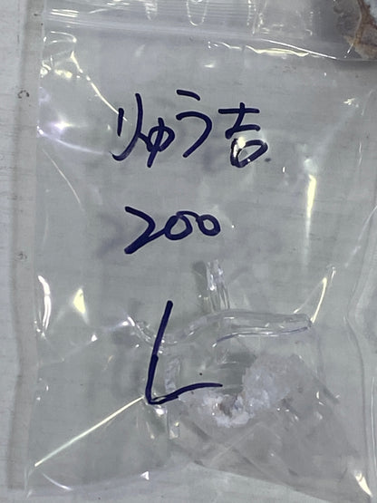 12-りゅう吉様9月16日まで