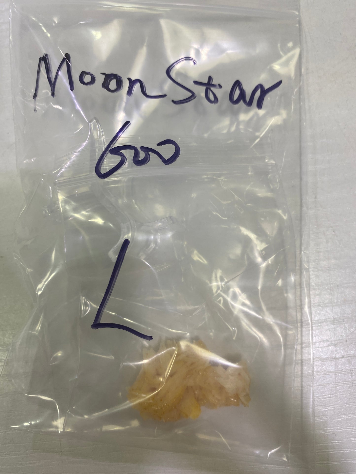 02-moon star様8月11日まで