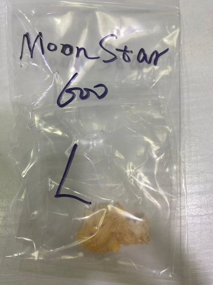 02-moon star様8月11日まで