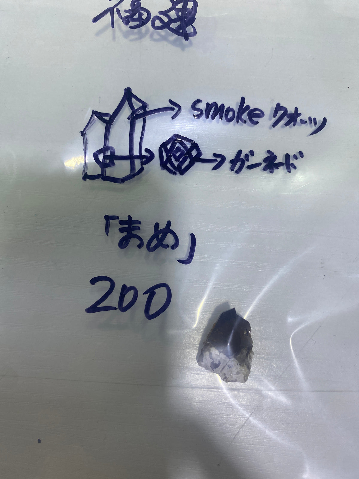 20-まめ様9月15日まで