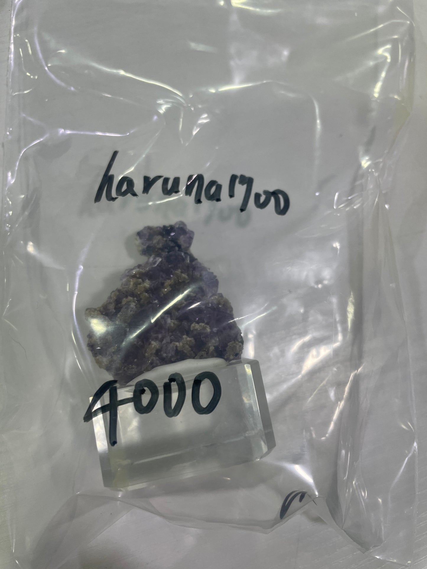 38-haruna1700様