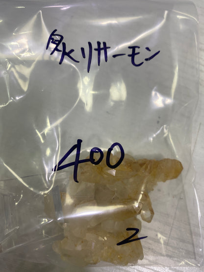 36-炙リサーモン様