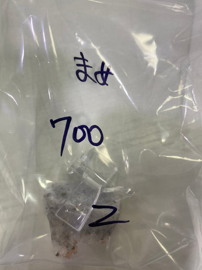76-まめ様