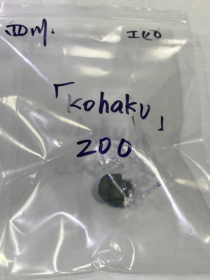02-kohaku様