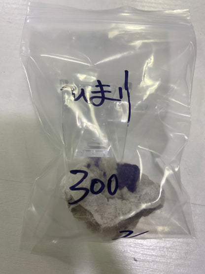 36-ひまり様