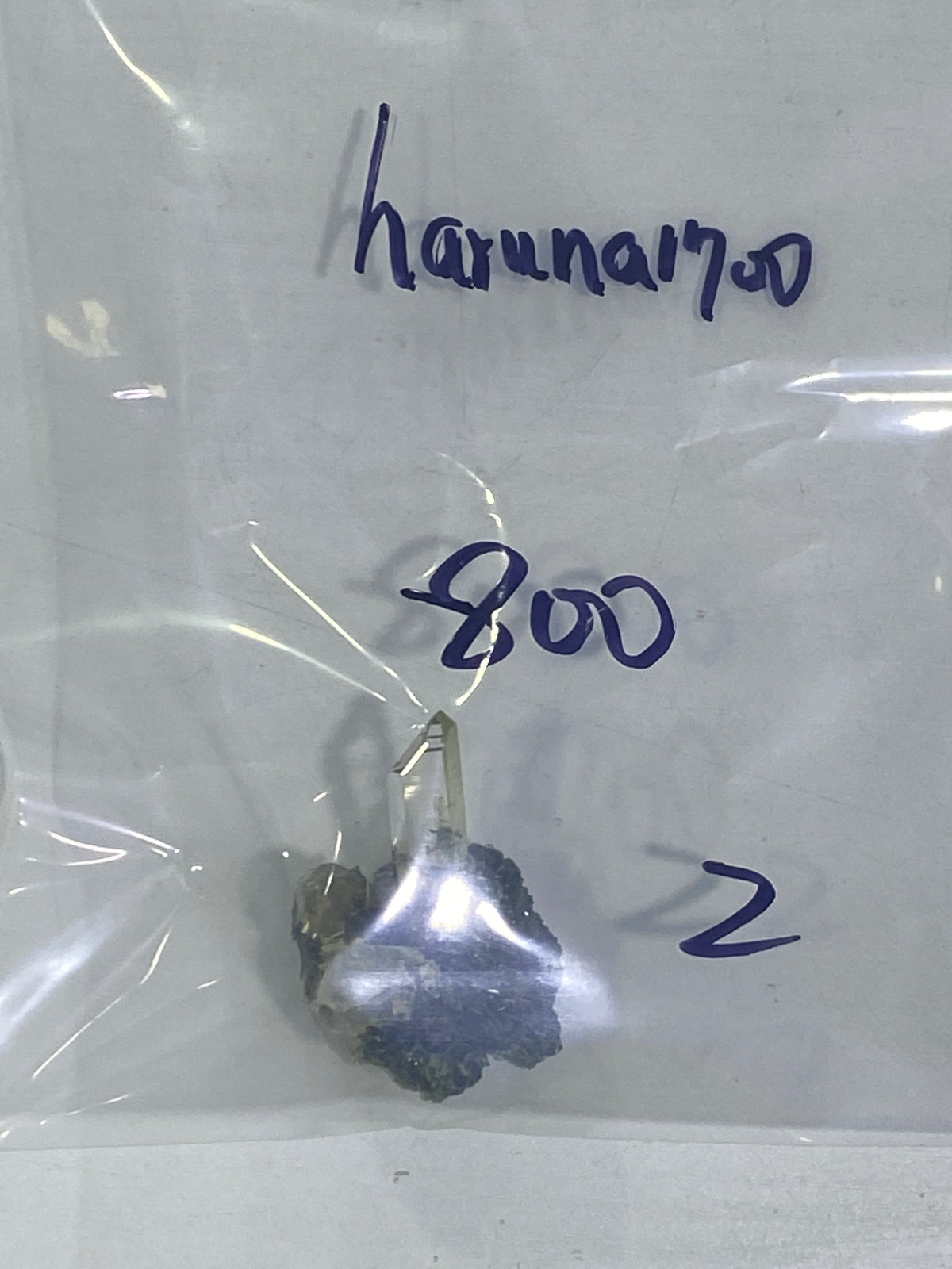 34-haruna1700様9月19日まで