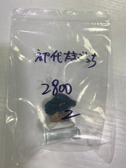 67-初代たまご様