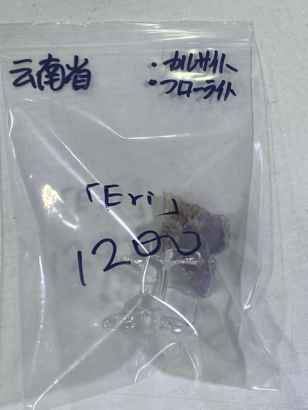 39-Eri様9月19日まで