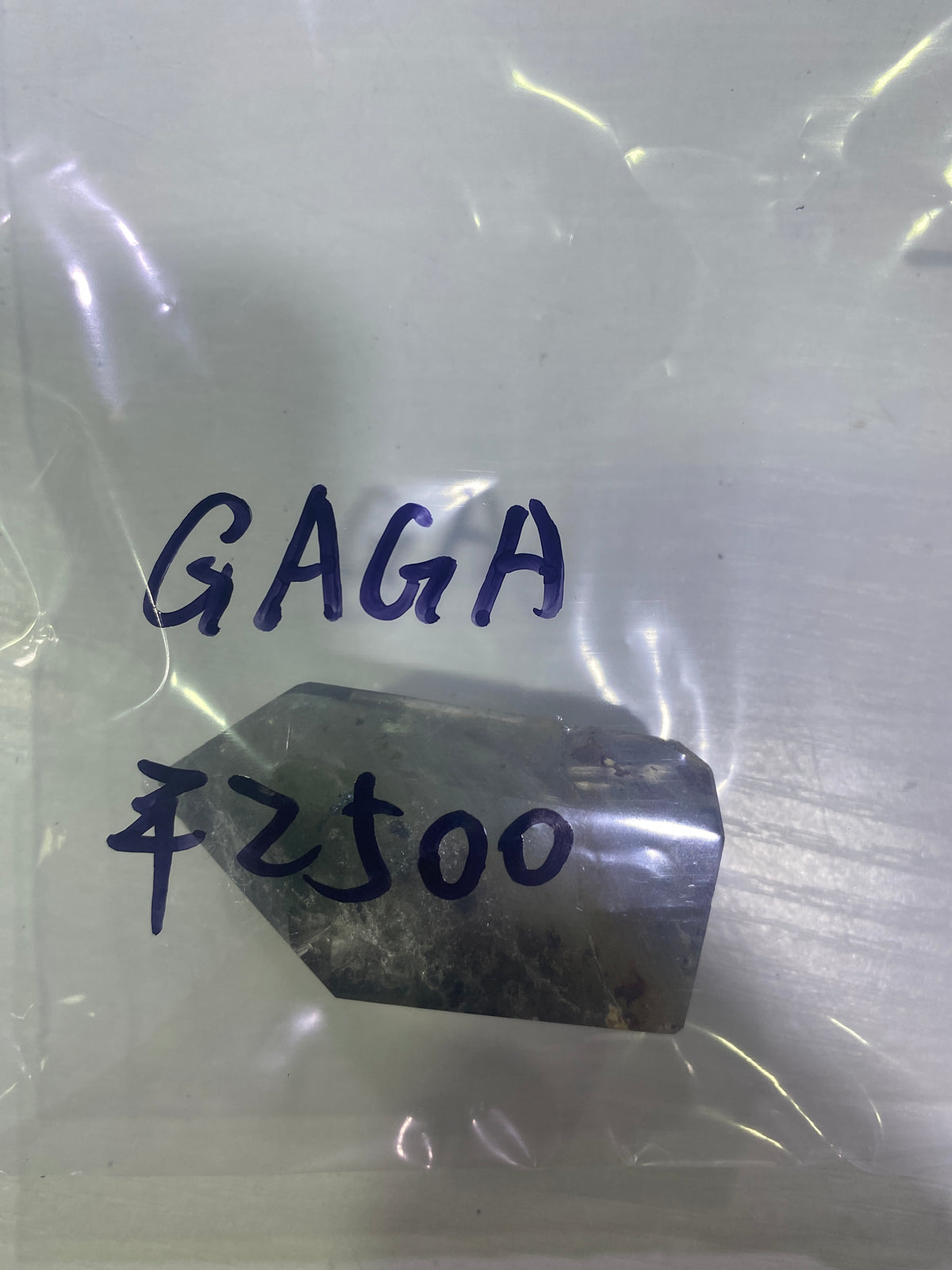 14-GAGA様9月15日